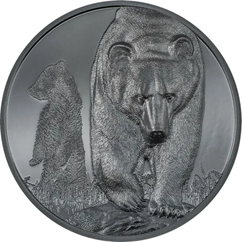 Монета срібна "BROWN BEAR Growing Up 1000 тугриків" 62,2 г, ціна за грам 10.99 USD на 2026.07.06. Монети . Передня сторона